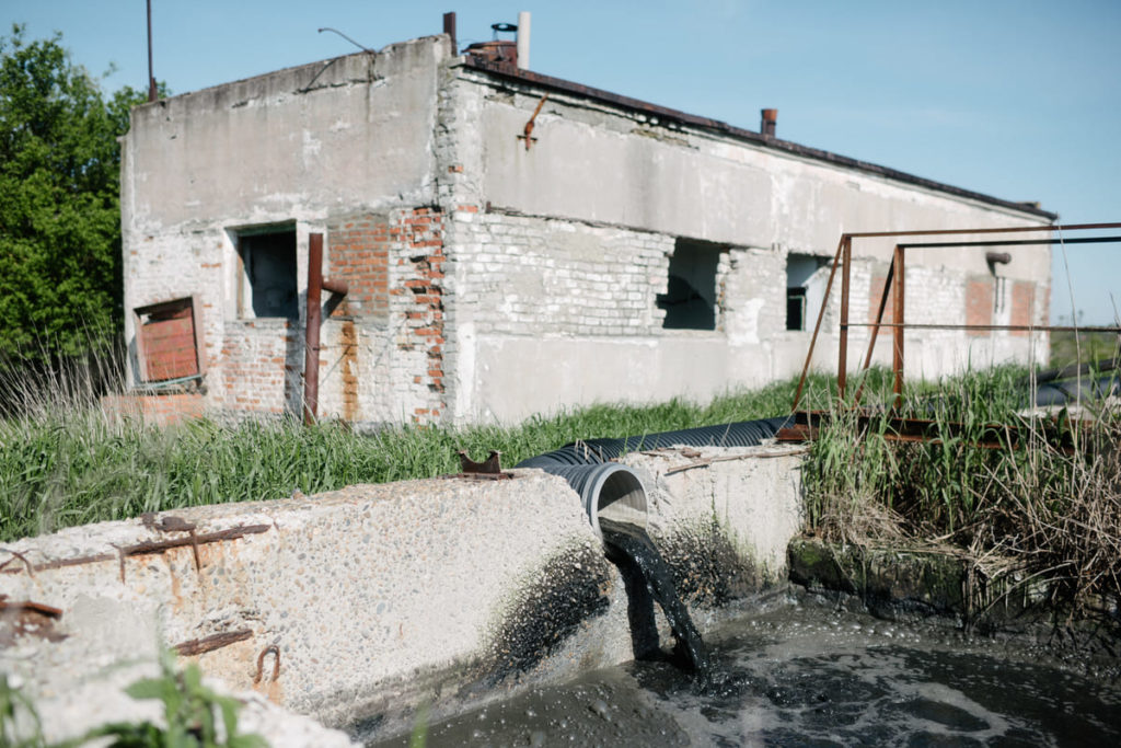 Фото: Алина Десятниченко для НВ